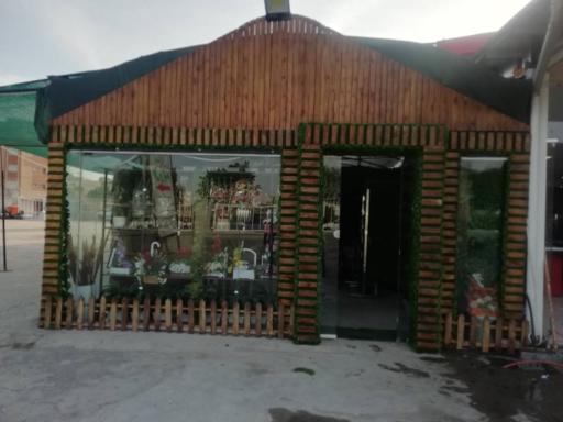آقای چمن