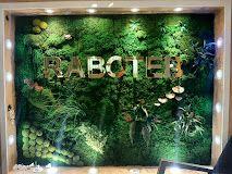 تجهیزات پزشکی زیبایی رابوطب