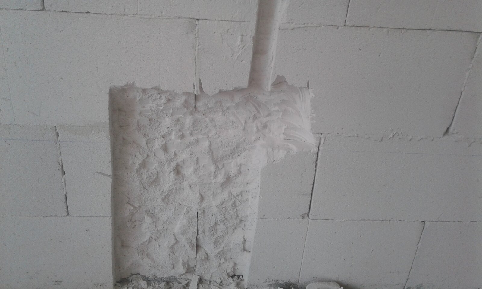 ولی حامدی نسب