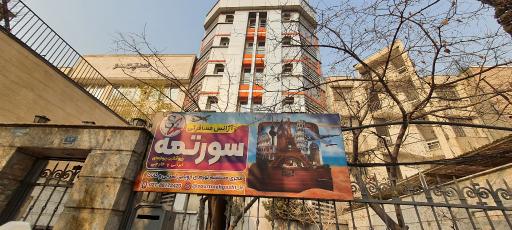 شرکت خدمات مسافرتی وجهانگردی سورتمه گشت آریا