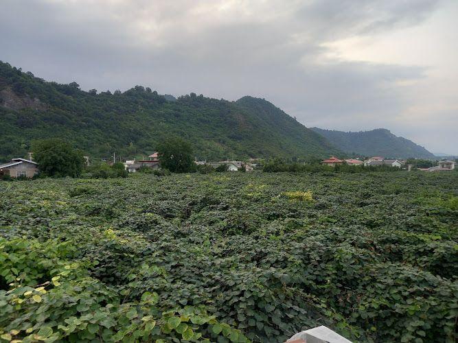 مهمانسرای کانون بازنشستگان ارتش