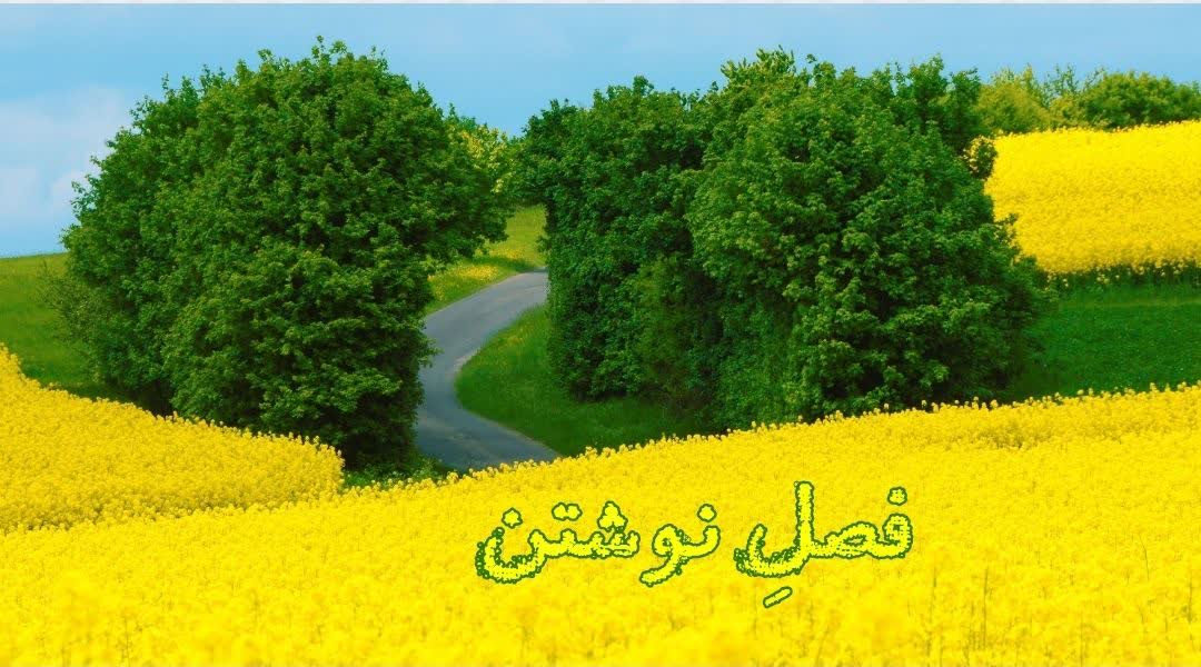 مربی