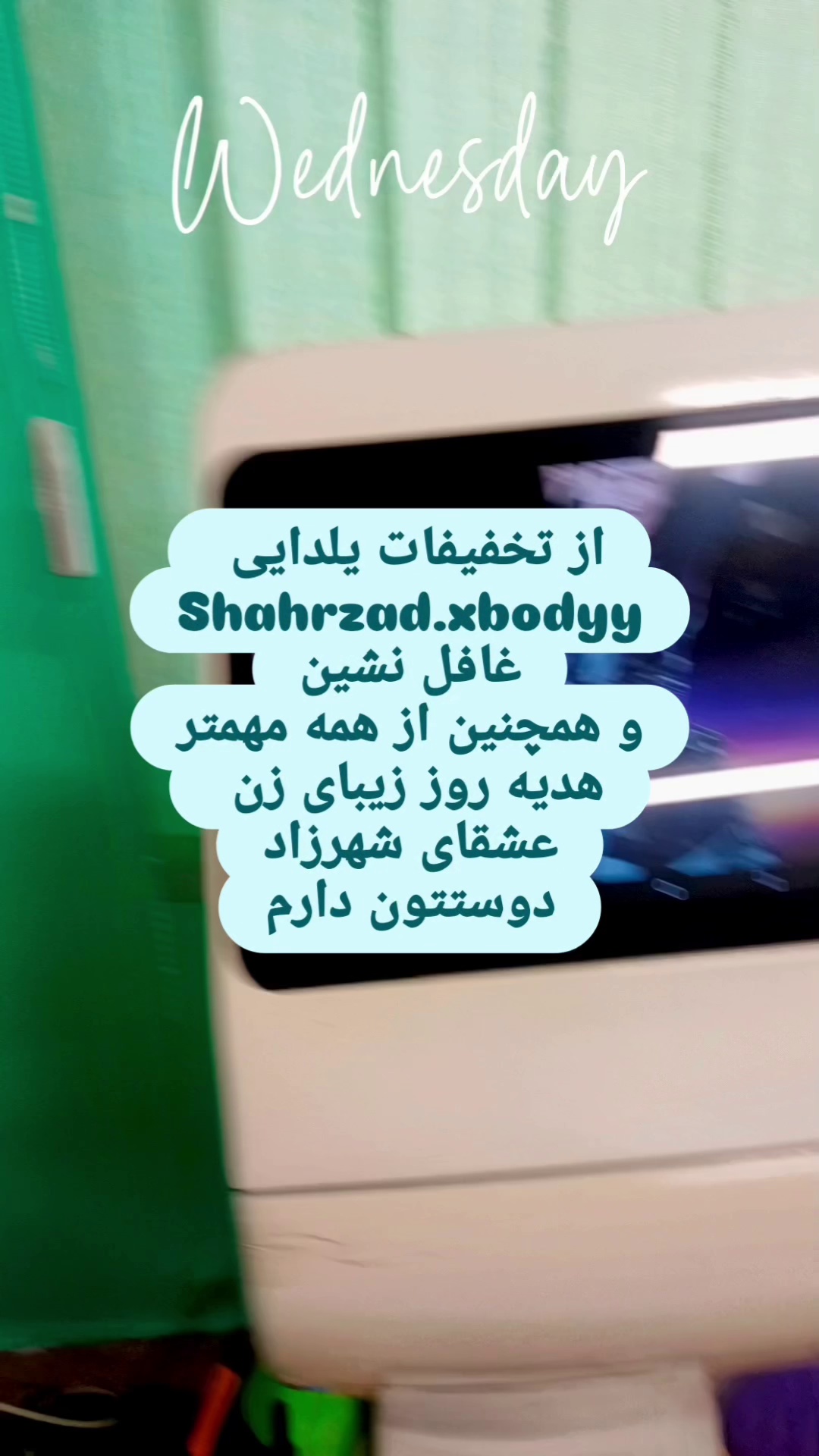شهرزاد ایکس بادی