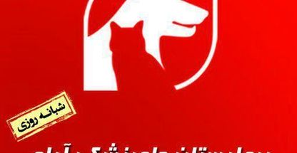 بیمارستان دامپزشکی آراد