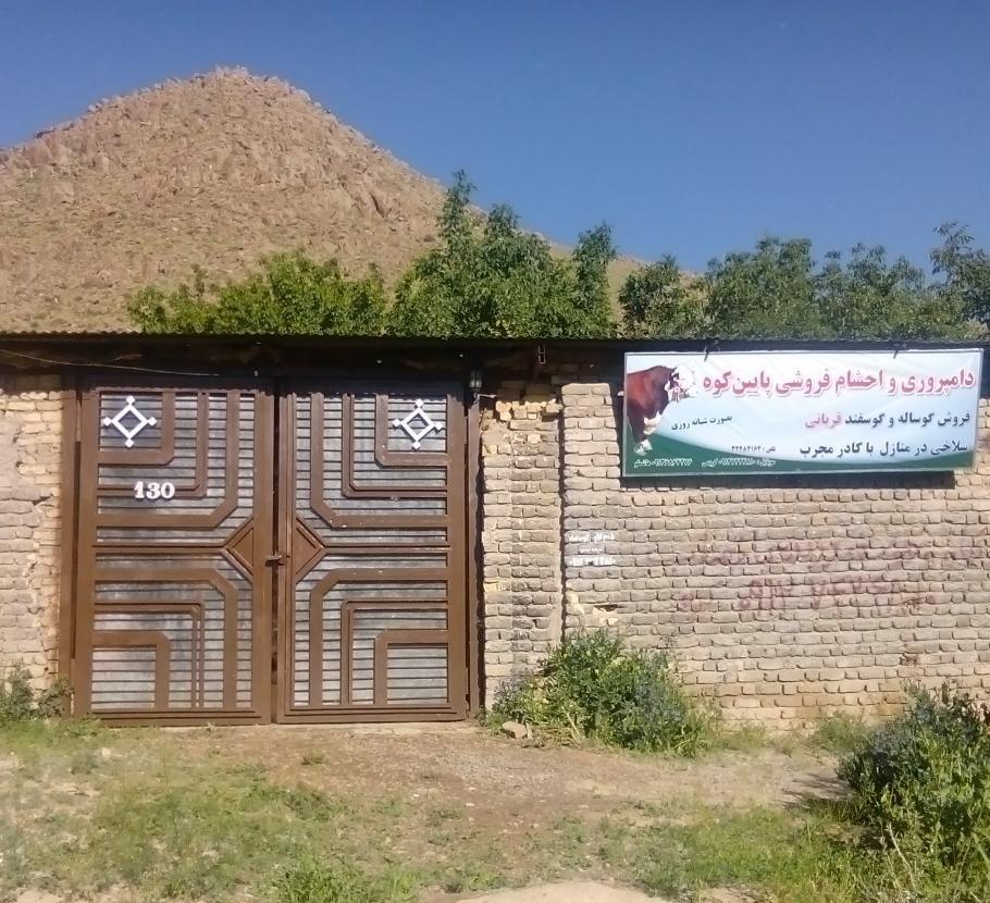 دامداری پایین کوه