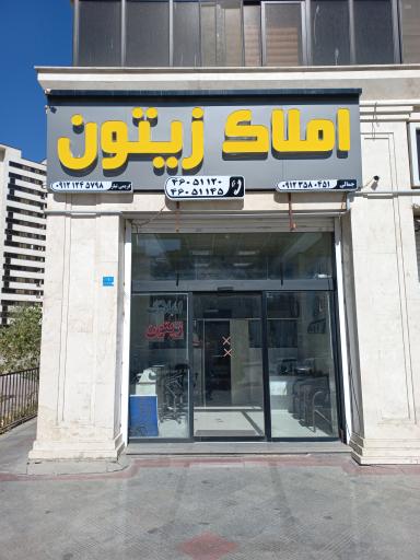 املاک زیتون
