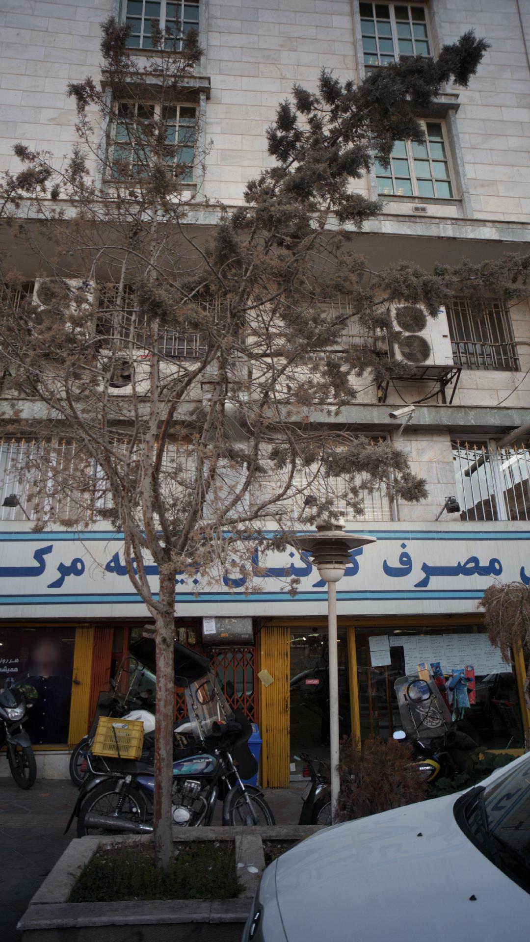 بیمه ایران