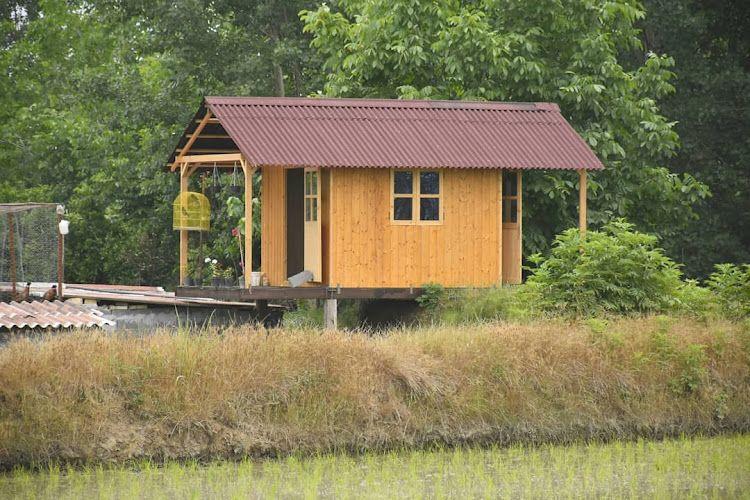 کلبه قرقاول