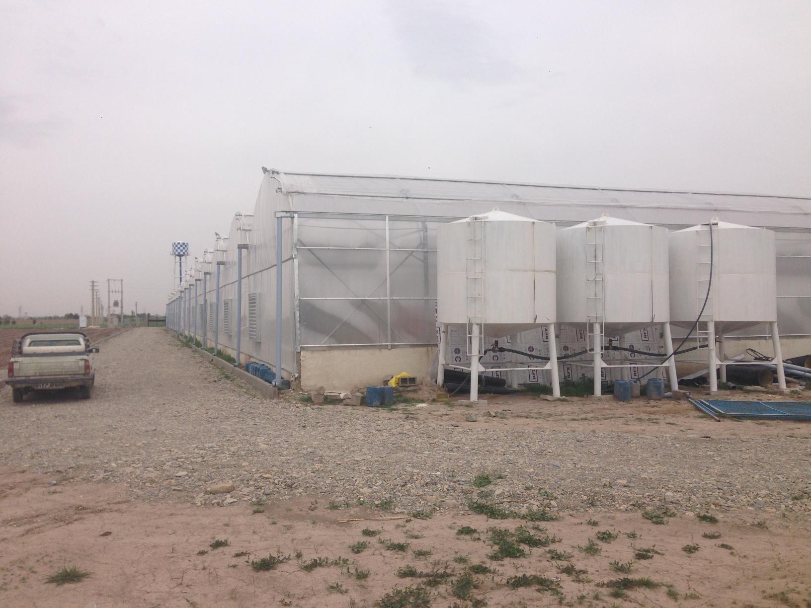 باغ عرفان دنگیزک