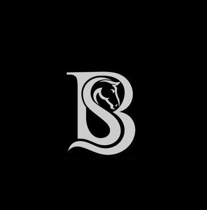 مجموعه سوارکاری بن طاووس