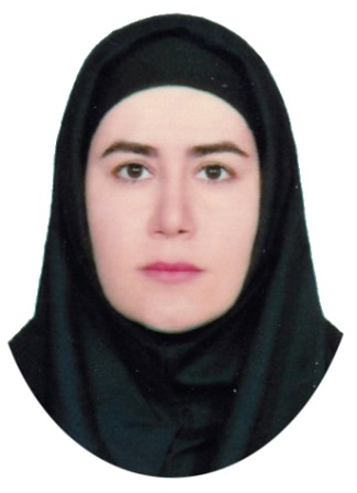 وکیل مینا کاظمی