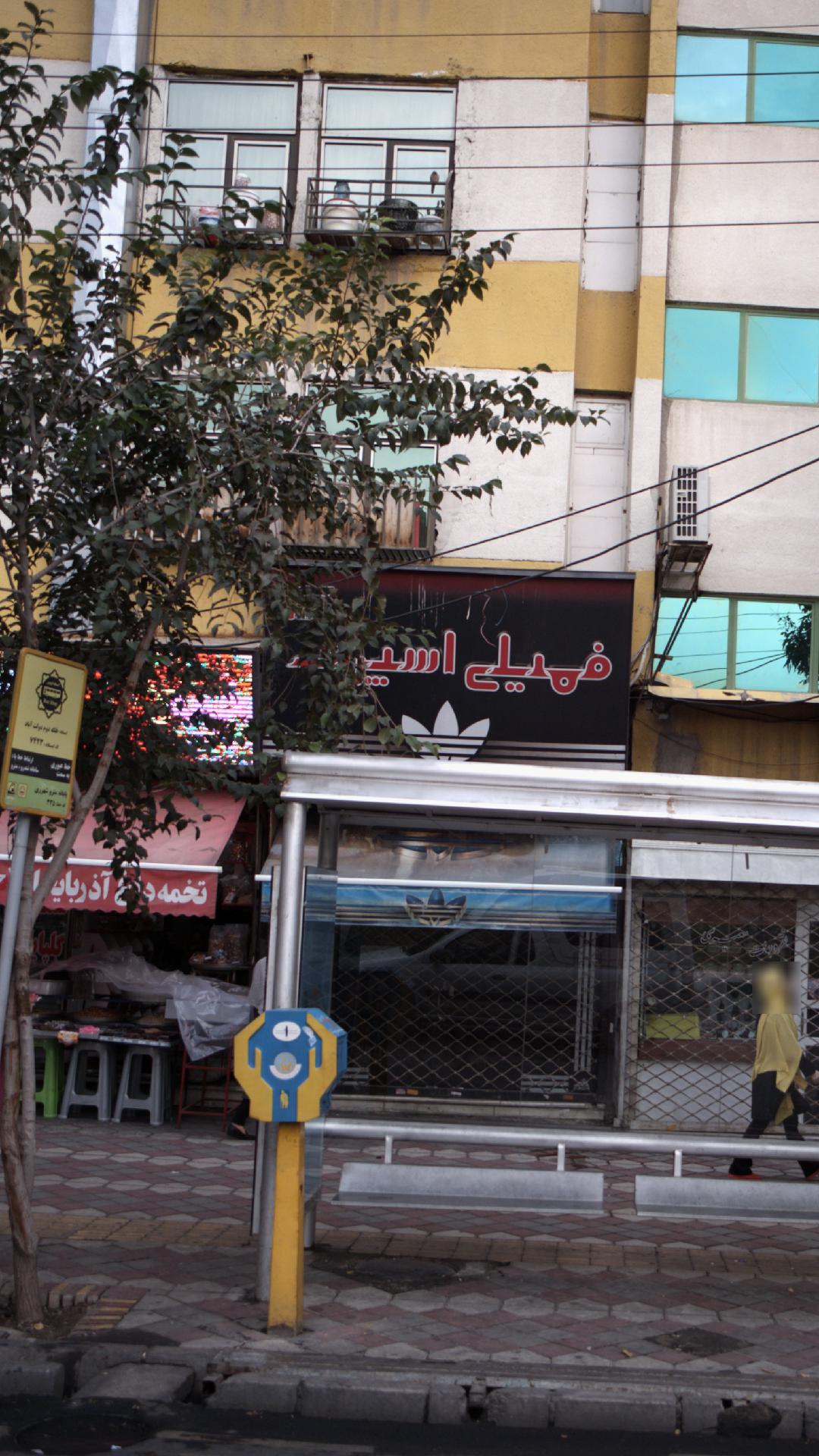 فمیلی اسپرت