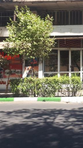 ساندویچی FH