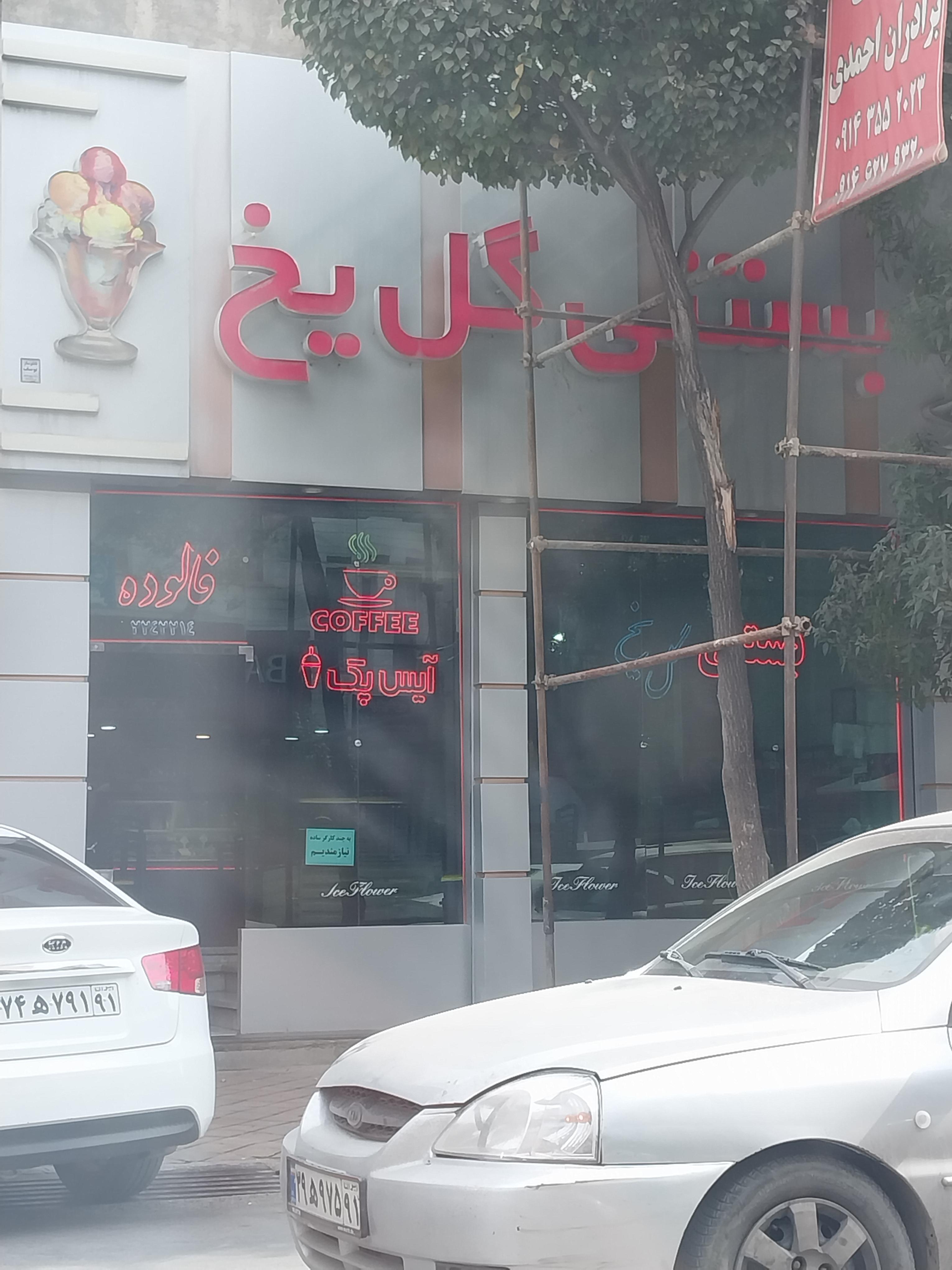 بستنی گل یخ شعبه یک