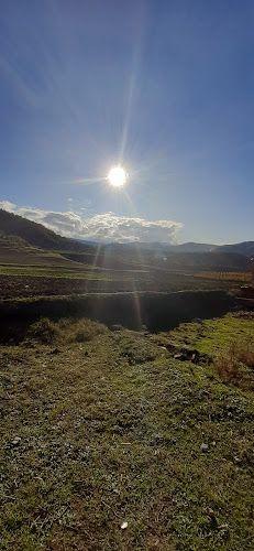 اقامتگاه حاج درویش