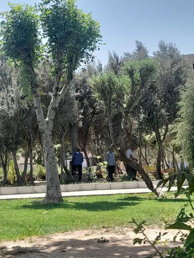 بوستان شهید جعفری