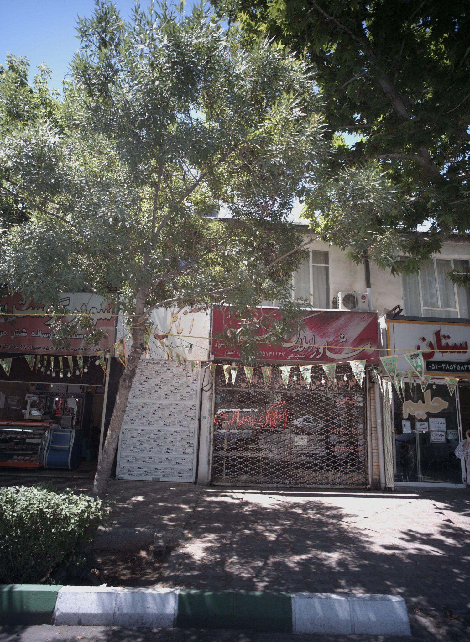 گل فروشی آنا گل