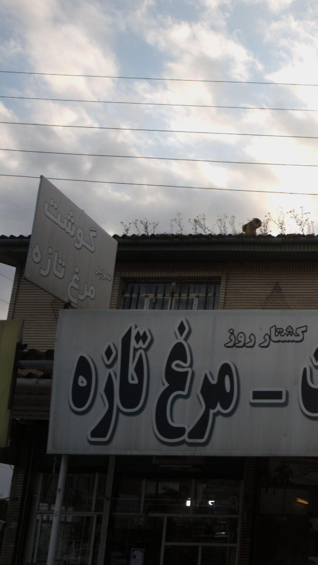 سوپر گوشت - مرغ تازه