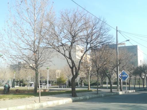 بوستان سنبله