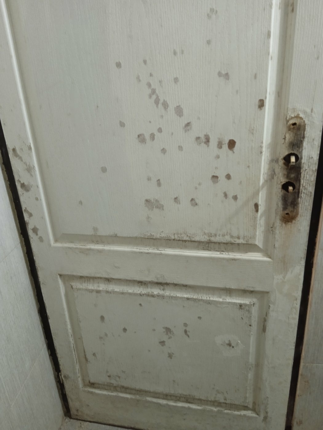 خدمات نقاشی ساختمان زارع