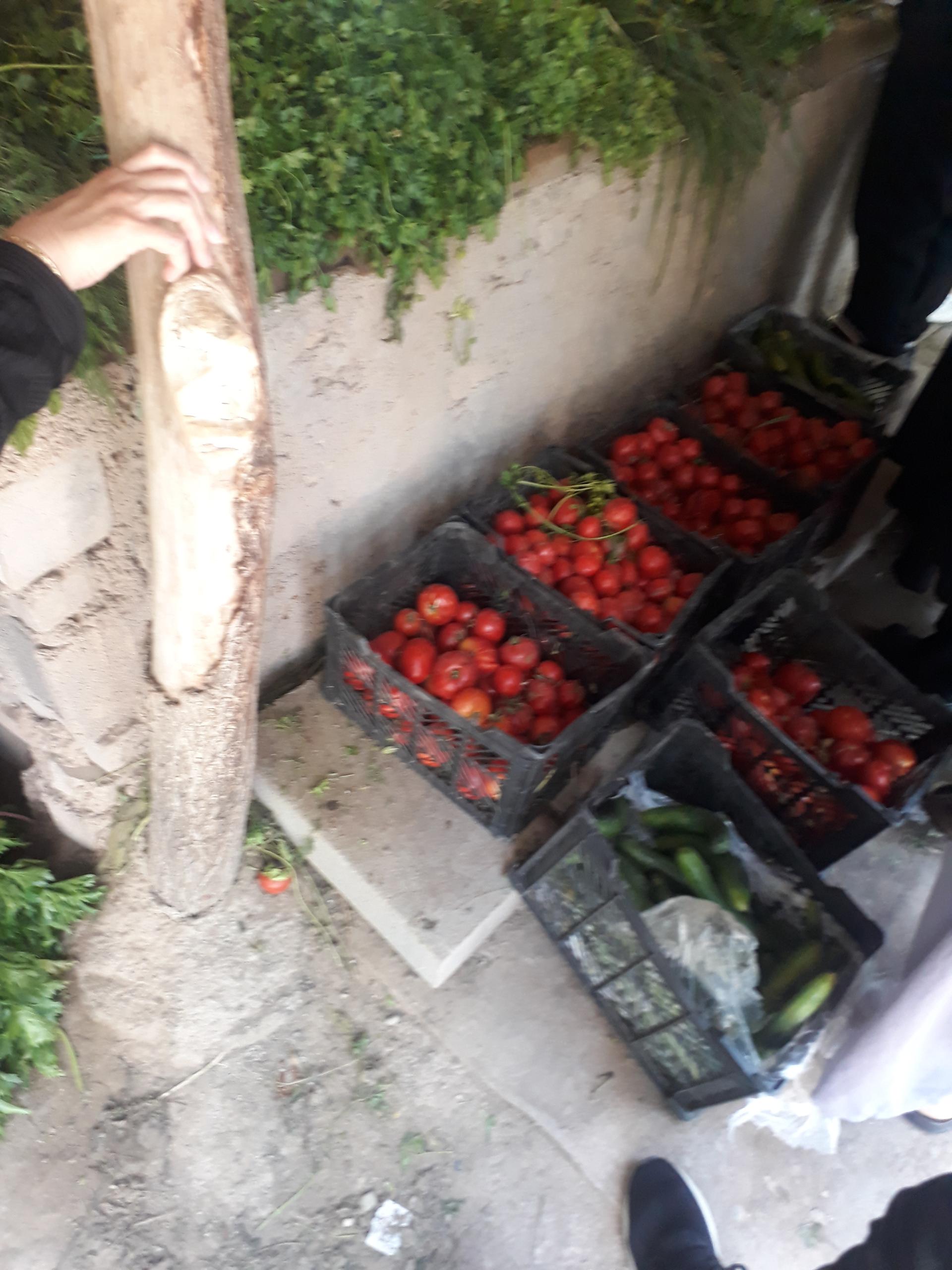 سوپر میوه حاجبی ارزان تک