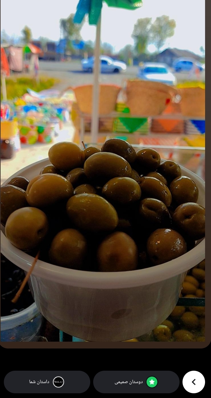 تولید و فرآوری زیتون و روغن زیتون لیافوی