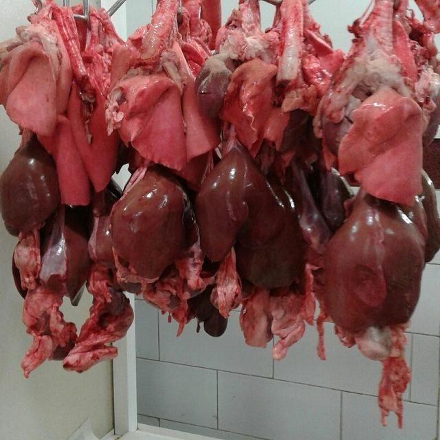 کبابی پدروپسر