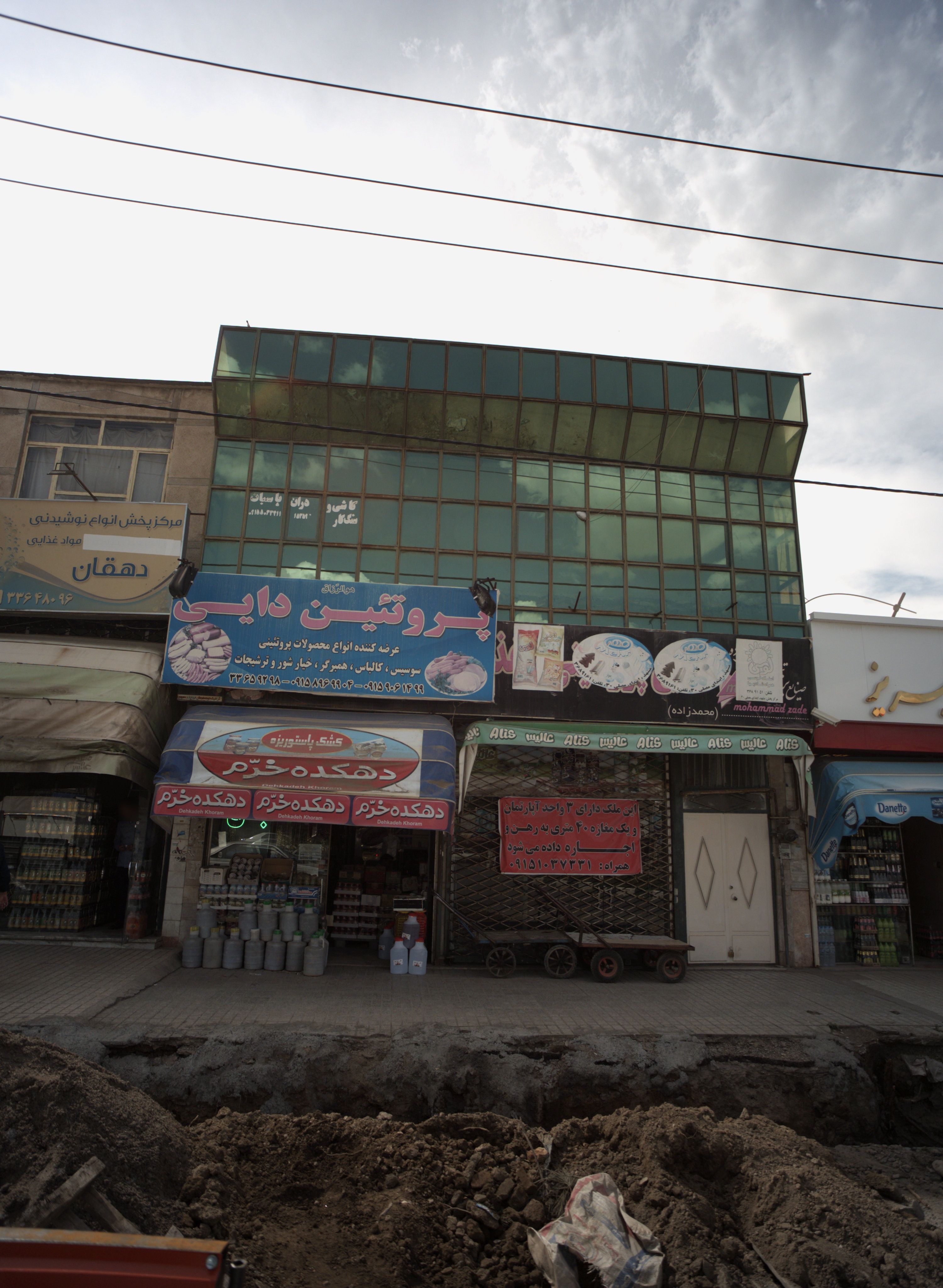 پروتئین دایی