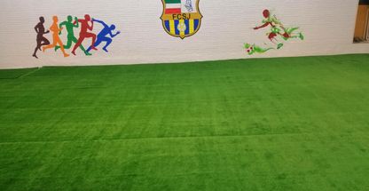 باشگاه تخصصی فوتبال شاهین جوان