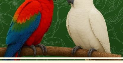 پارک نوازش و فروشگاه دنیای پرندگان زنجان