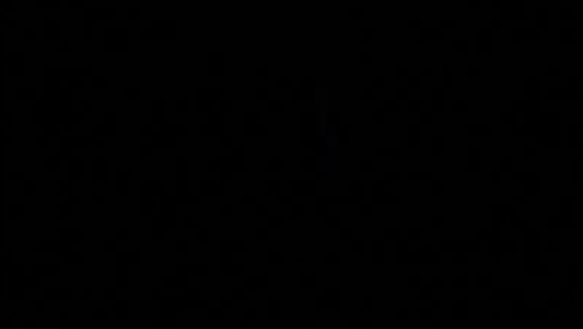 دبستان و کودکستان فرزانگان پویا