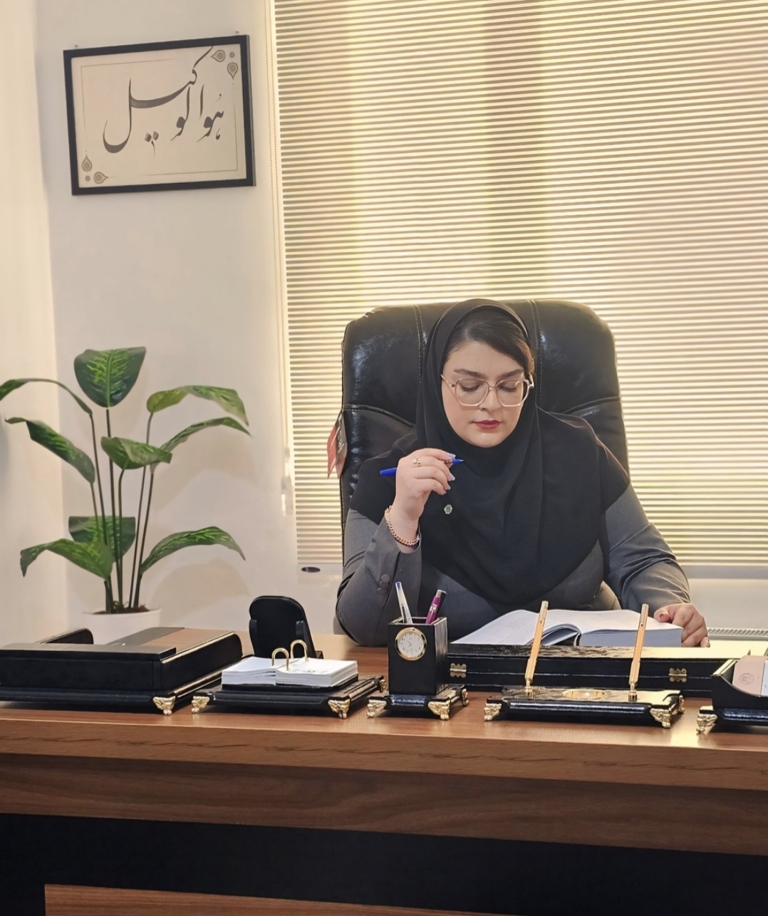 وکیل دادگستری