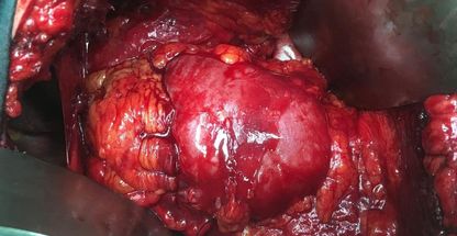 دکتر سیدیعقوب صهری