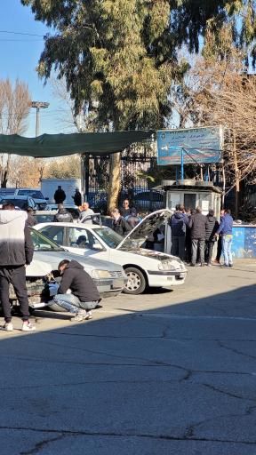 بیمه ایران
