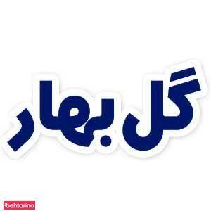 برگزاری مراسم تولد خاله بهار