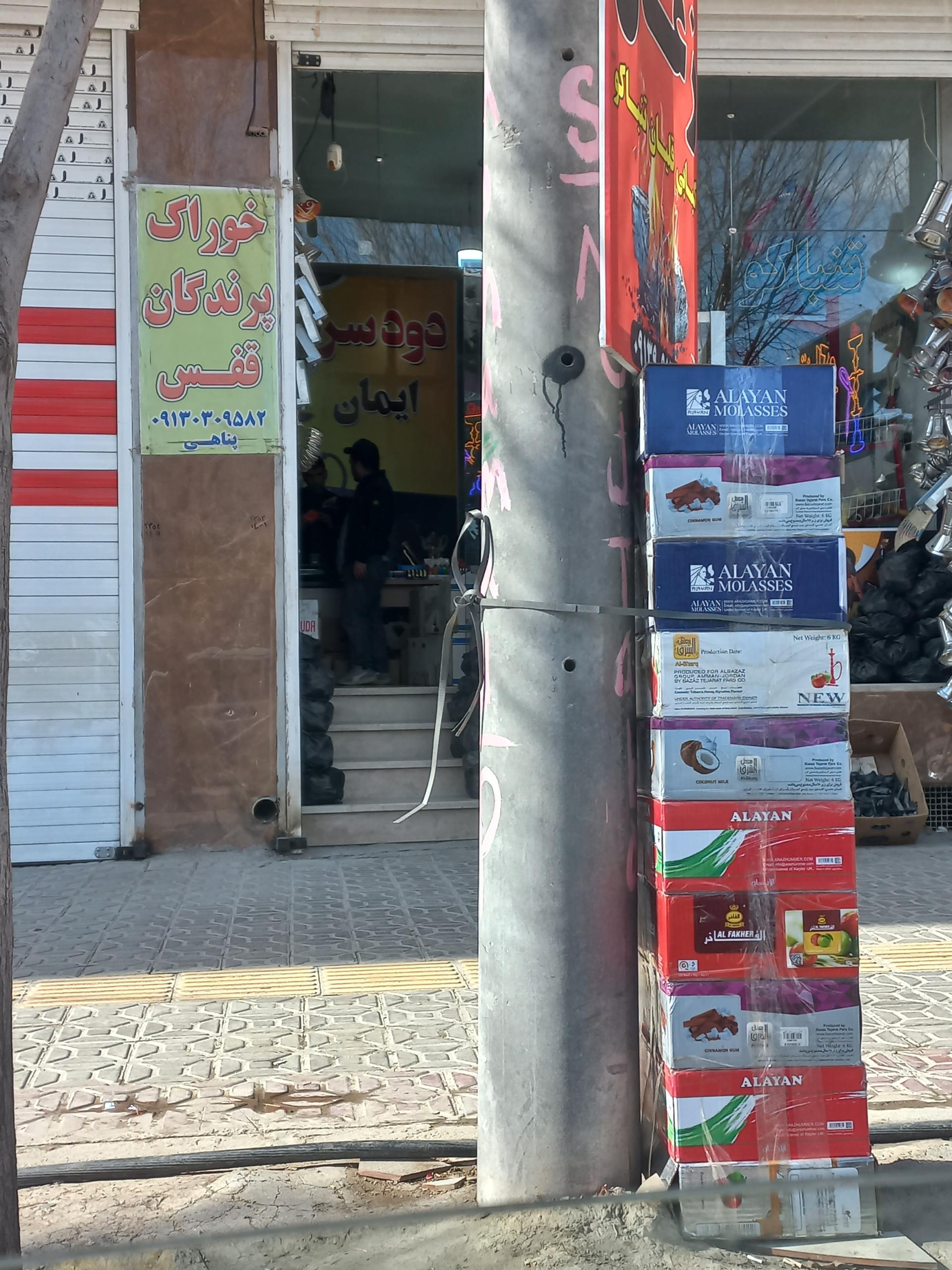 نما چوب آریا