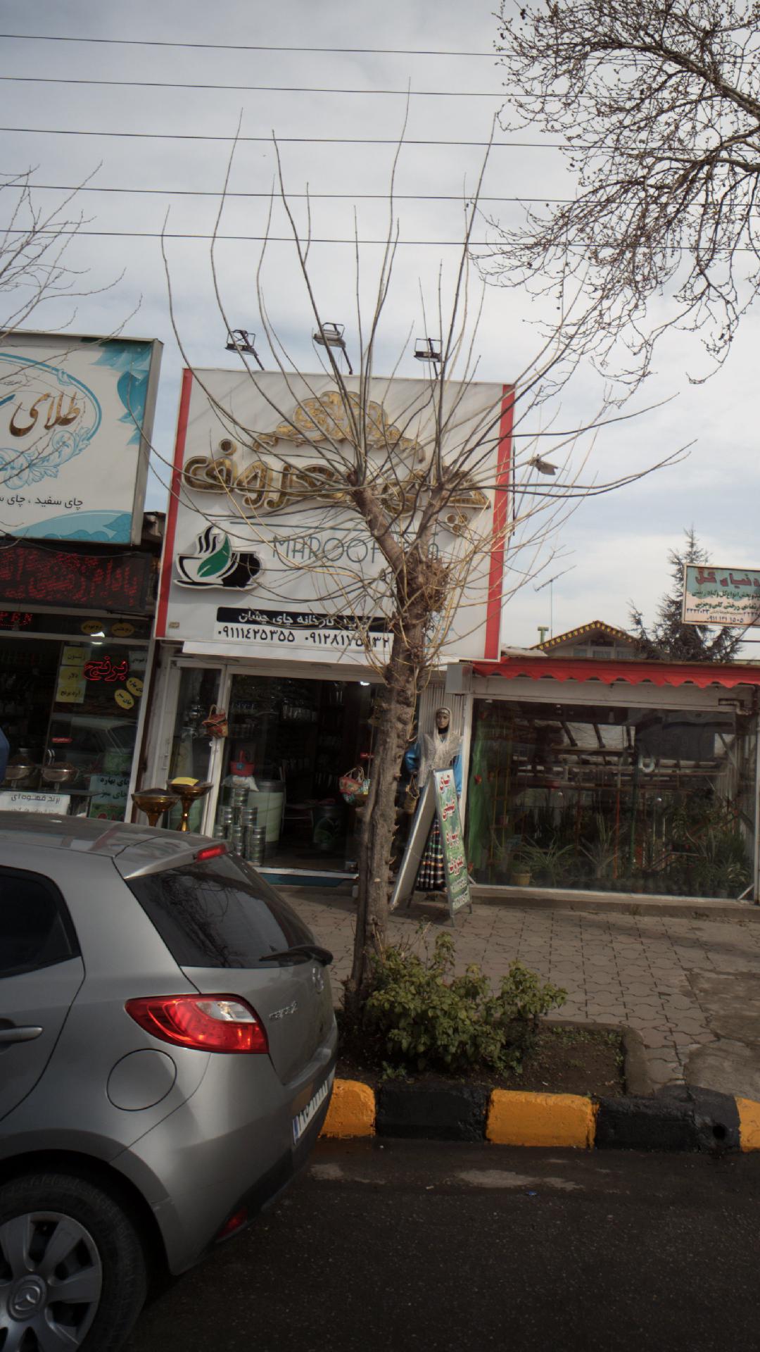 چای معروف 