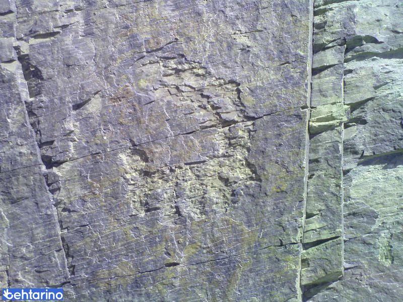 پارک جنگلی اراک