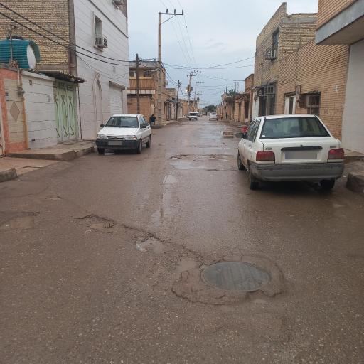 پاستوریزه