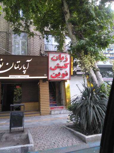 زبان کیش نوین