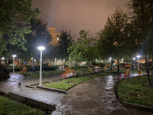 بوستان زنبق