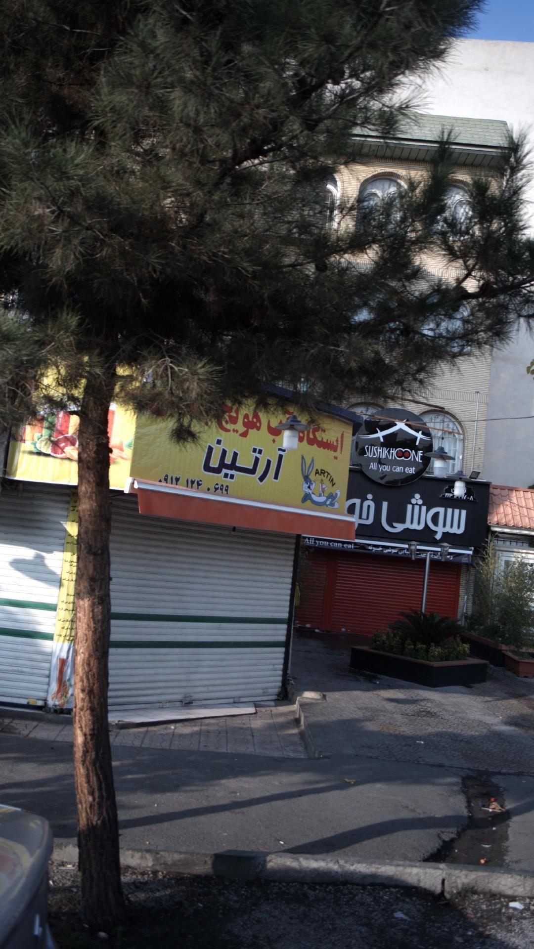 ایستگاه آب هویج آرتین