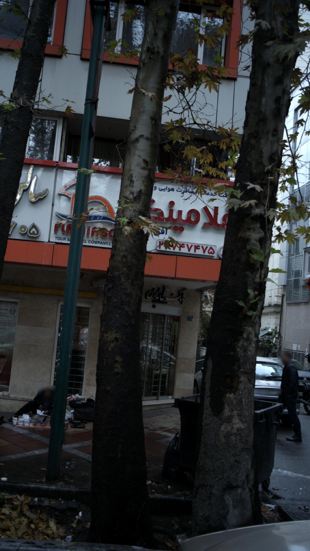 شرکت خدمات مسافر هوایی فلامینگو