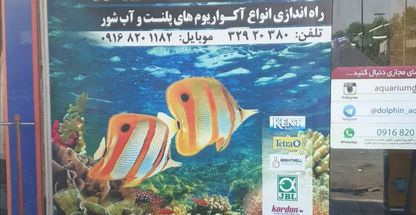 اکواریو دلفین اهواز   قناد