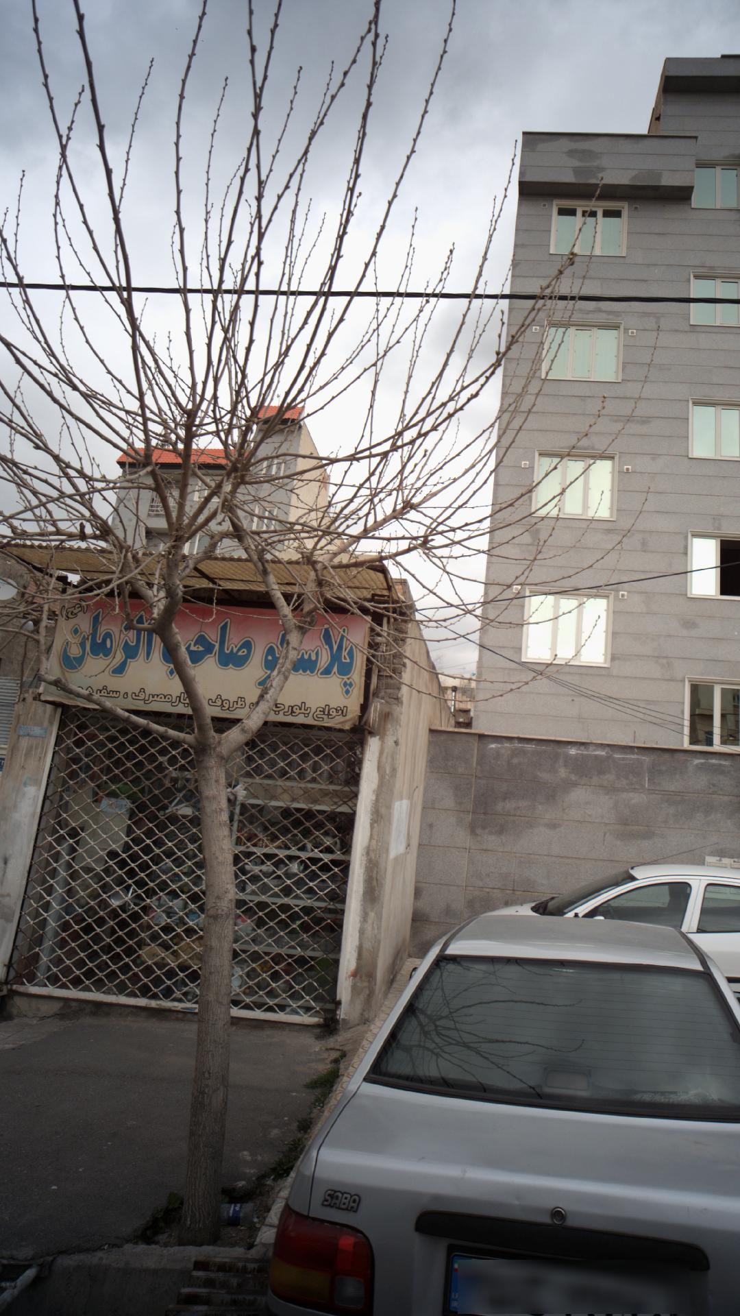 پلاسکو صاحب الزمان