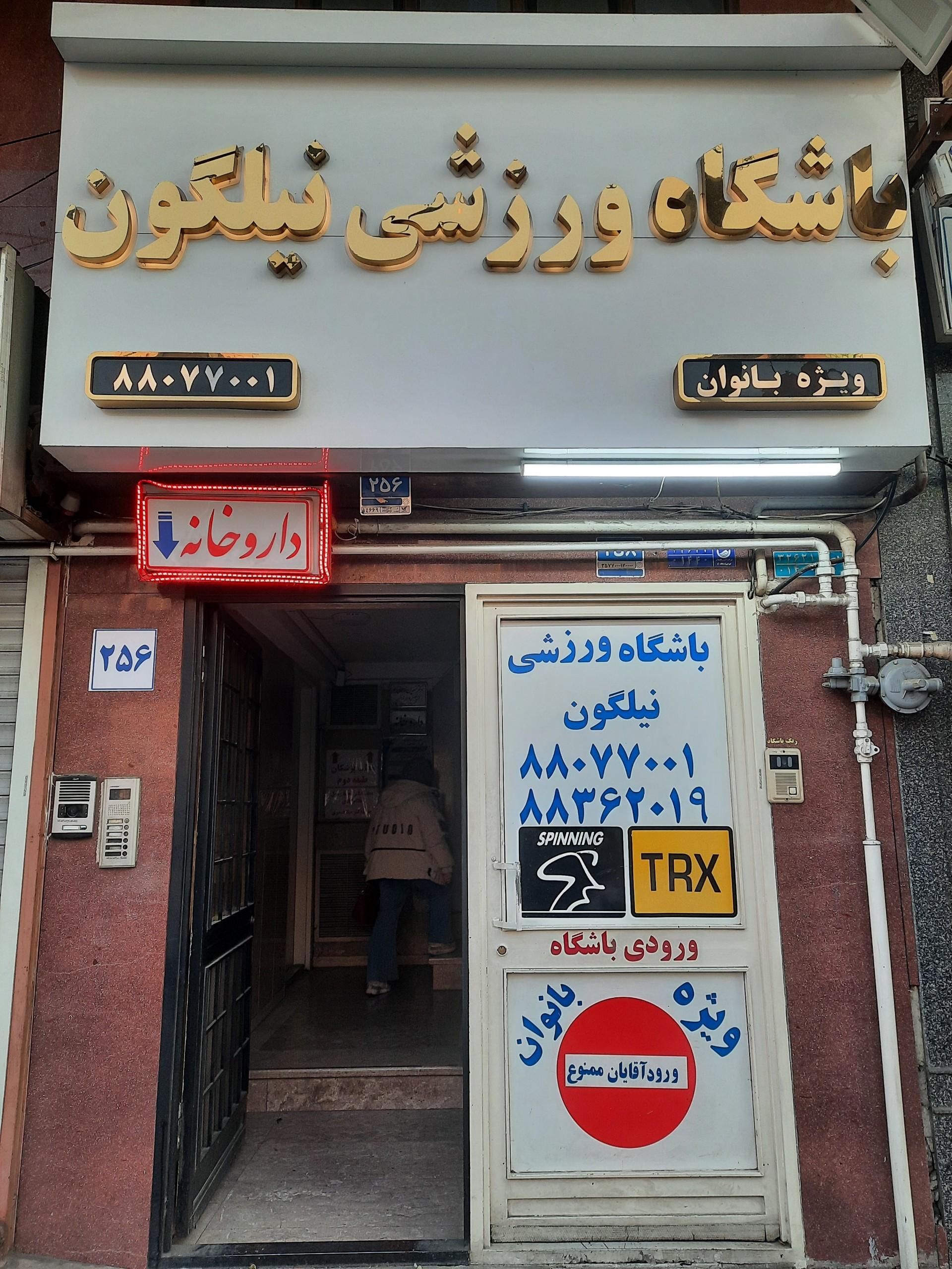باشگاه بدنسازی دلفین