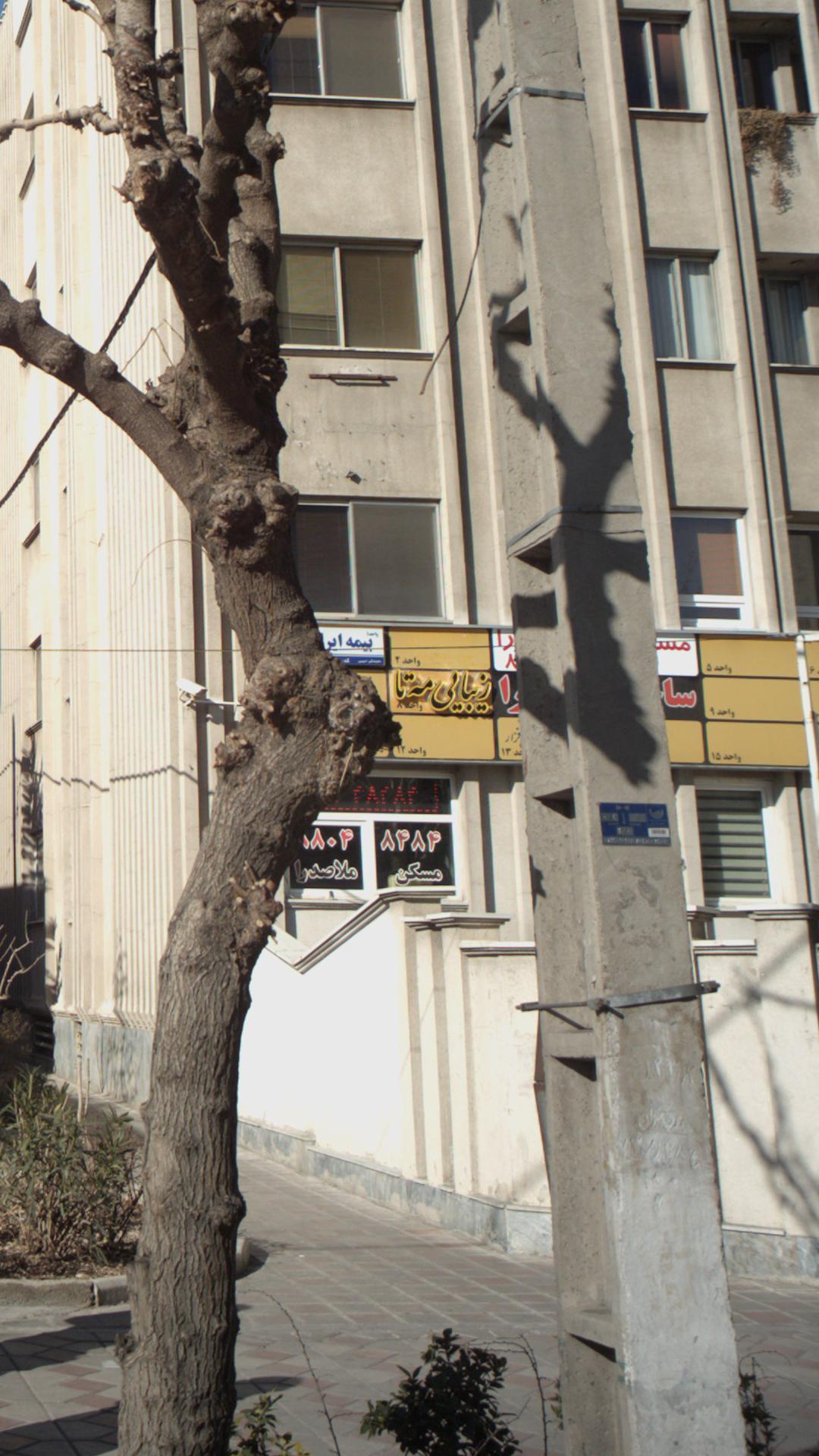 زیبایی مه تا