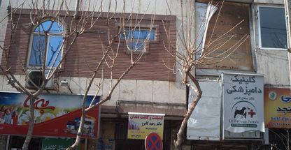 دکتر وحید کامرو