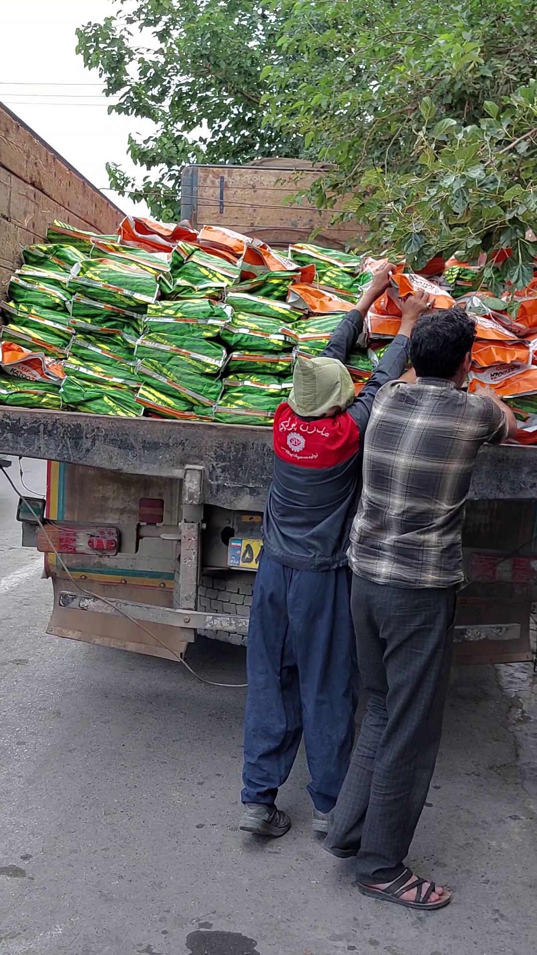 شرکت کشاورزی کاتوزا