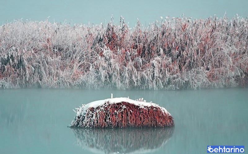 تالاب میقان